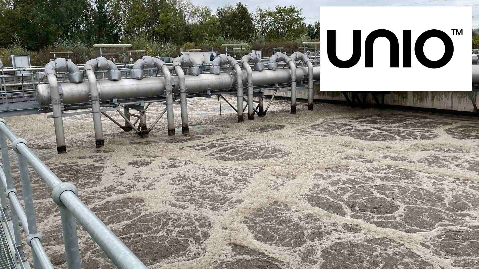 Unio