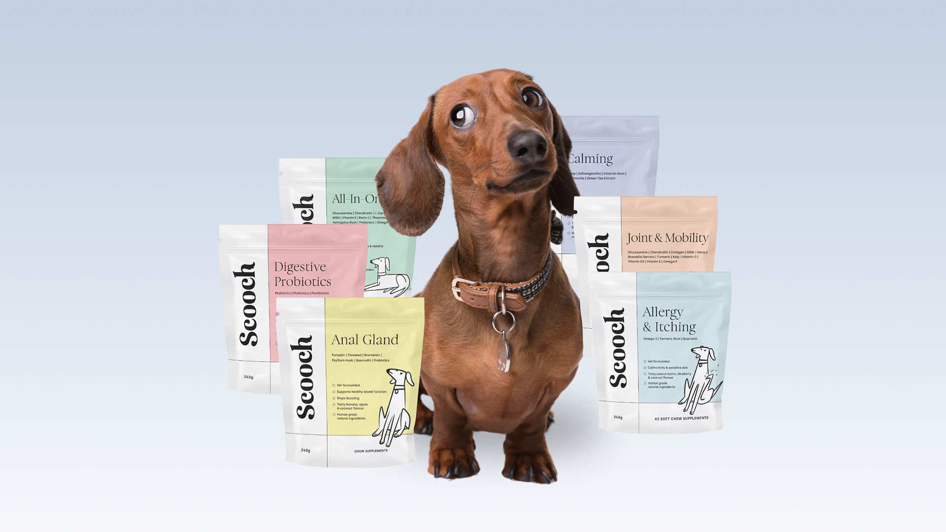 Scooch Pet EIS Hero