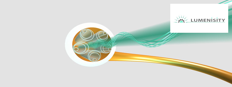 Lumenisity Parkwalk KI EIS