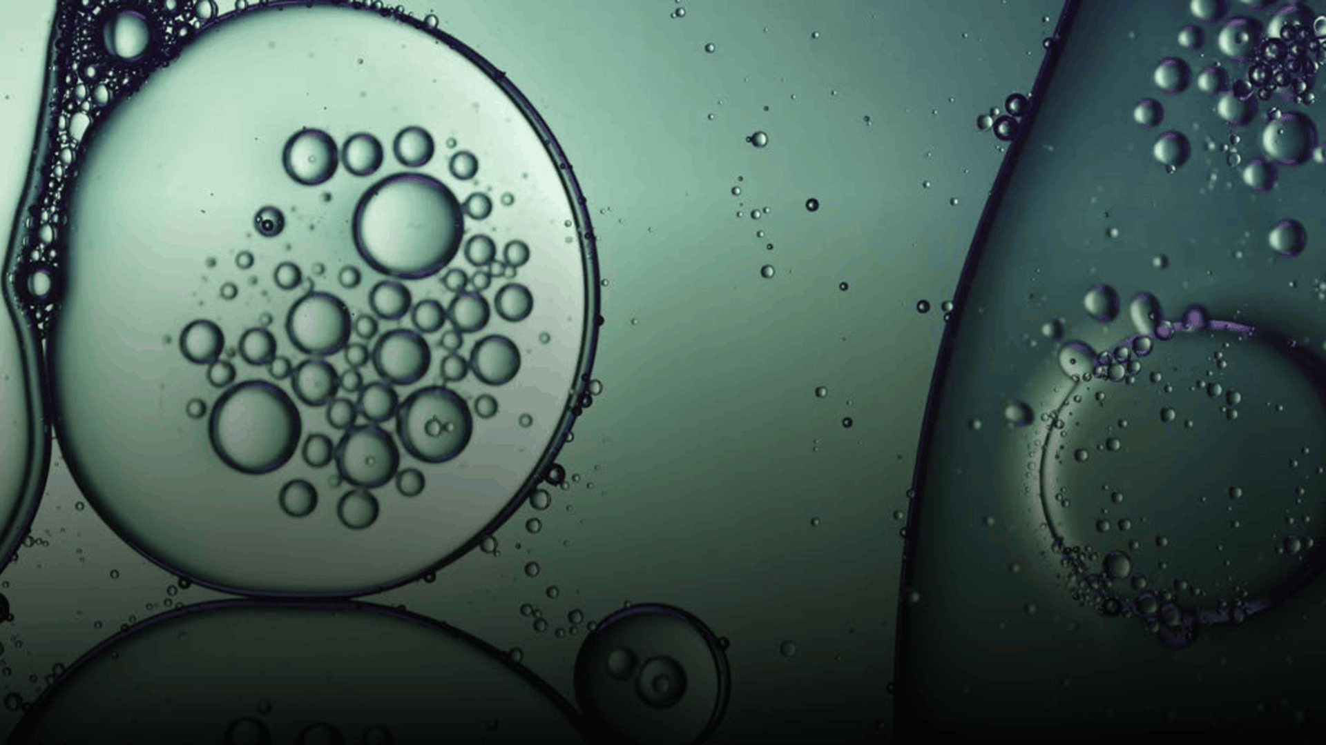 Deep Blue Biotech EIS – Hero