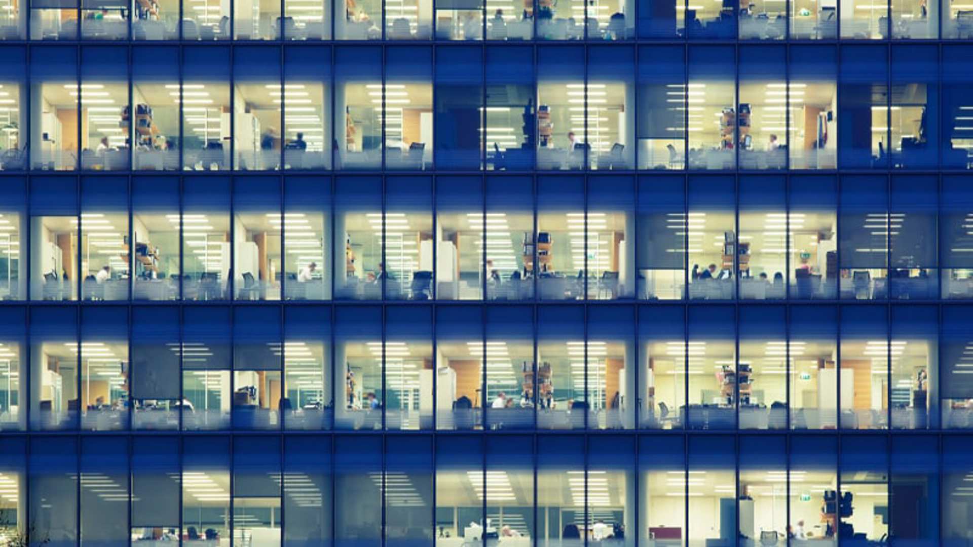 Cognism – SEIS investee company