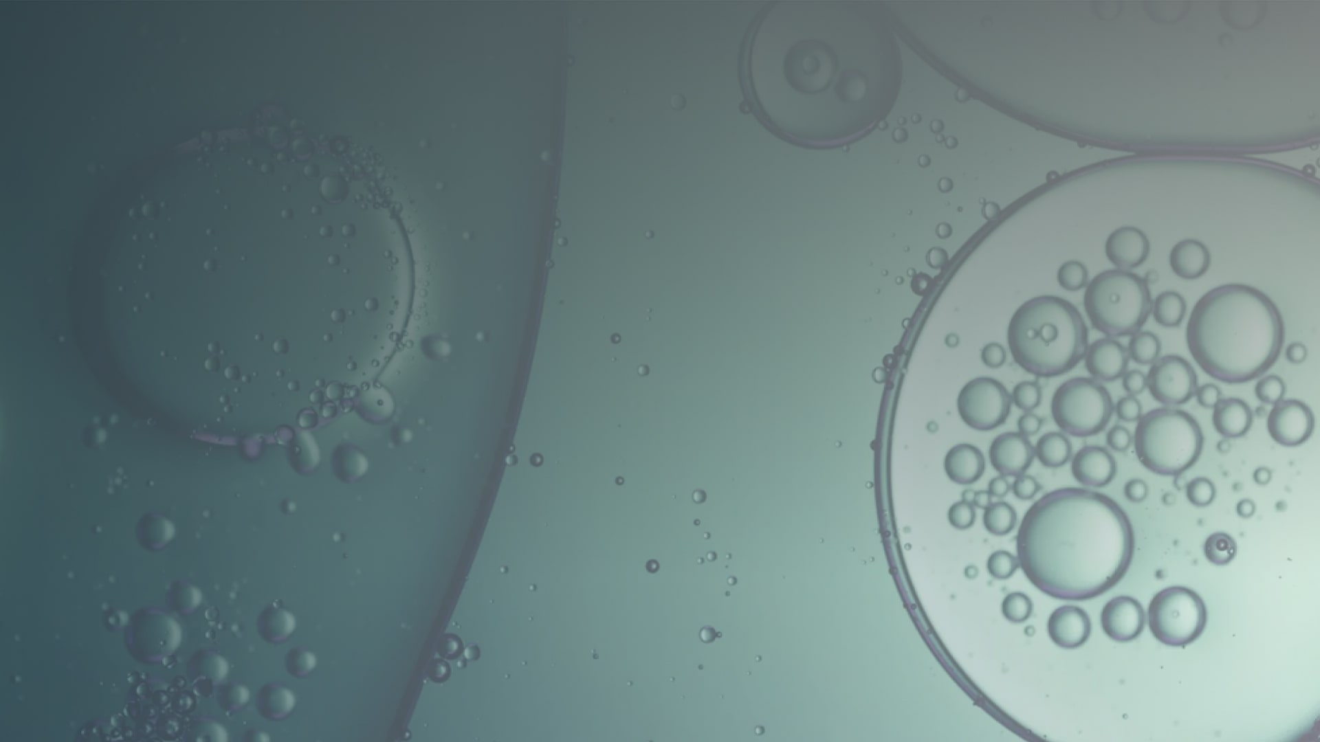 Oneplanetcapital Climate Change SEIS Fund – Hero Min