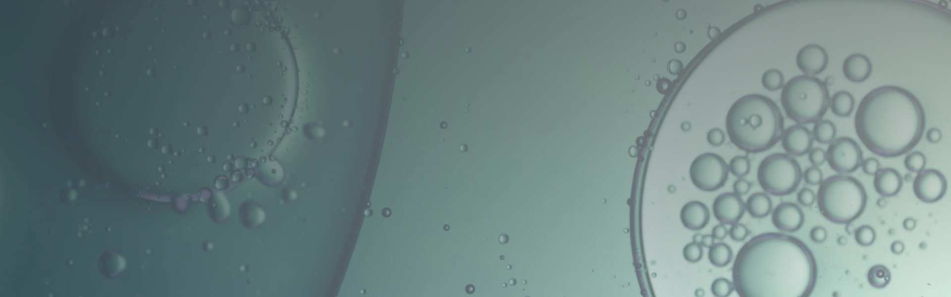 Oneplanetcapital Climate Change SEIS Fund – Hero Min