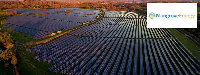Mangrove-Energy-Jenson-SEIS.jpg