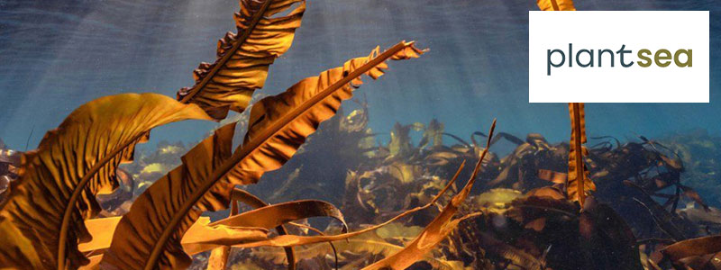Plantsea Sustainable Ventures EIS