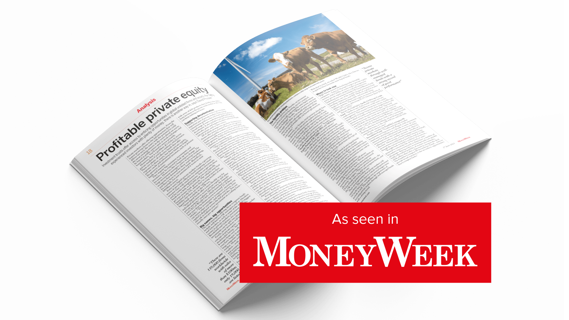 PE Article Moneyweek Thumbnail
