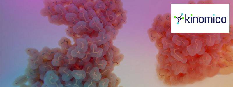 Kinomica Mercia KI EIS