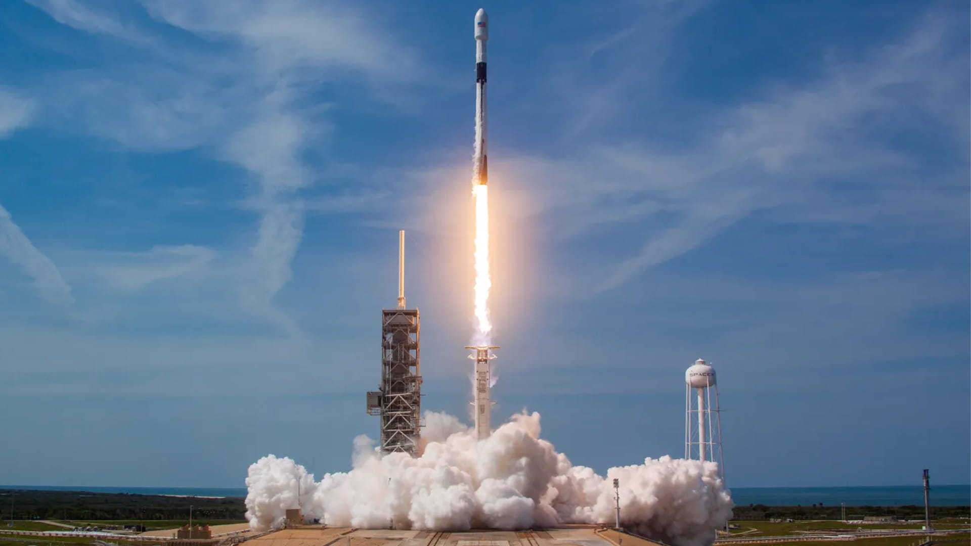 Space X Ark Article