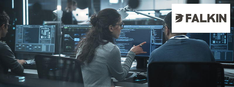 Falkin Haatch SEIS Fund