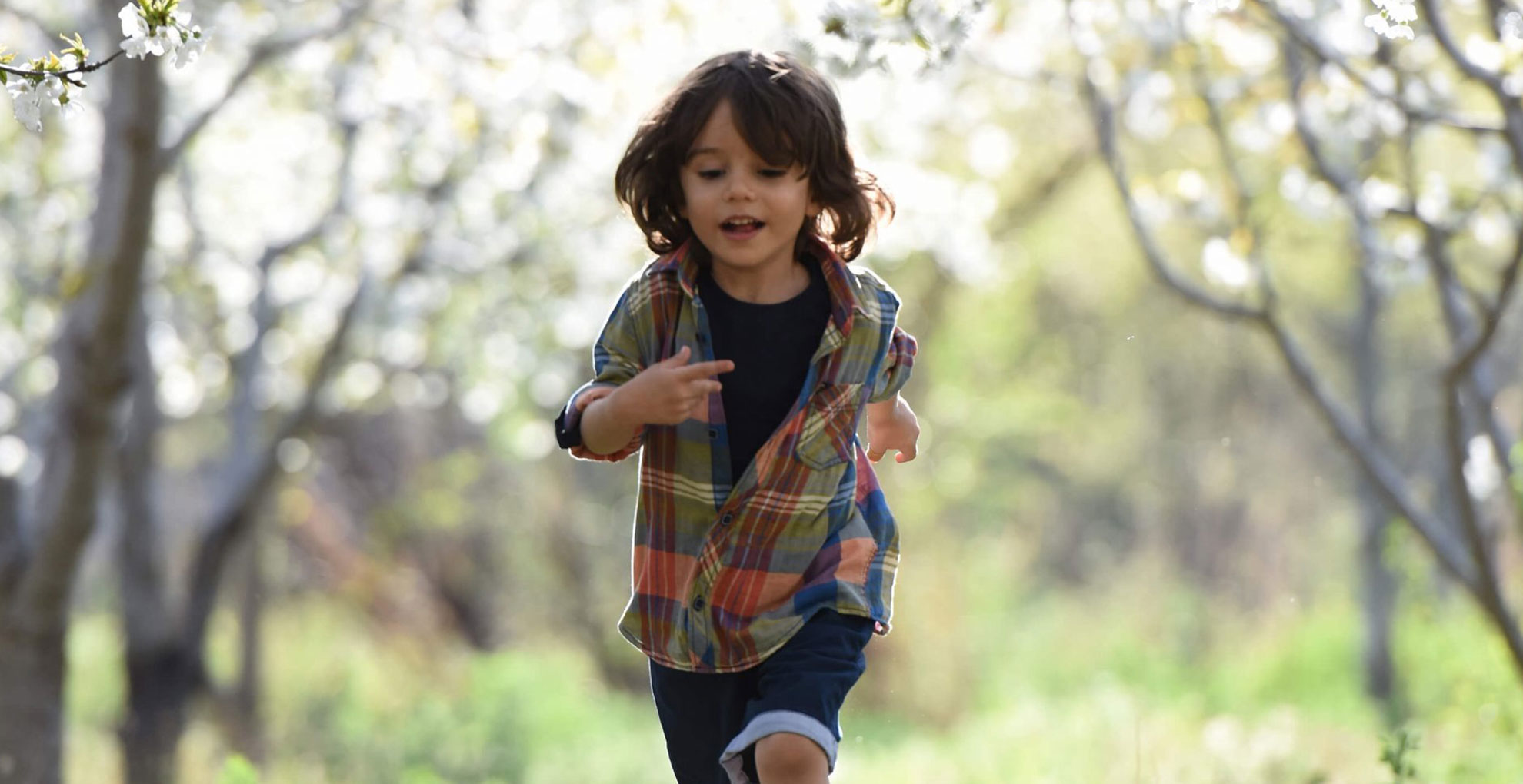 RC Brown AIM ISA Hero