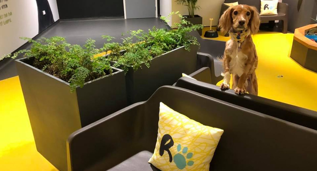 The Ralph EIS – hero 2