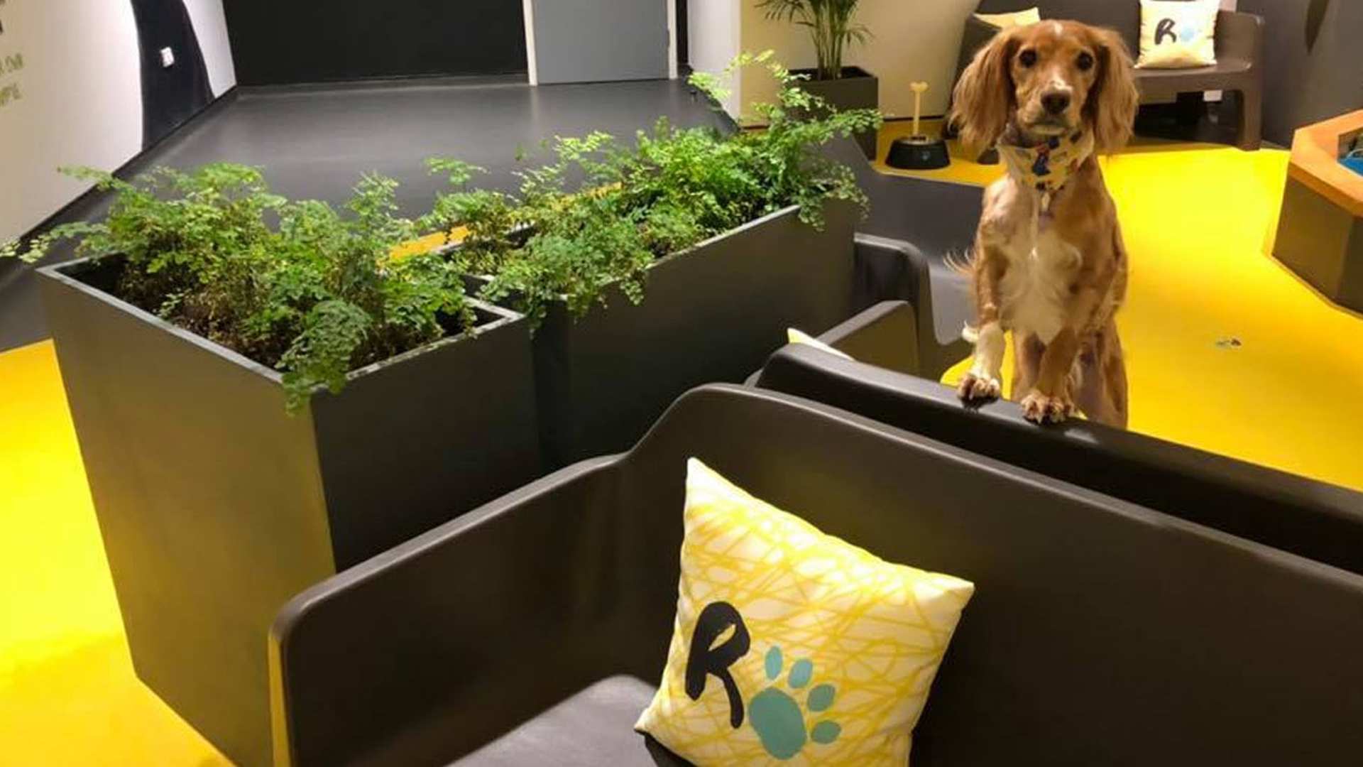 The Ralph EIS – hero 2