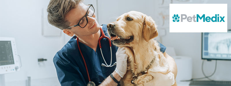Petmedix Knowledge Intensive EIS Article
