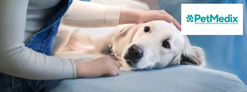 Petmedix Parkwalk KI EIS