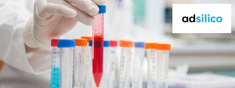 Adsilico Parkwalk KI EIS