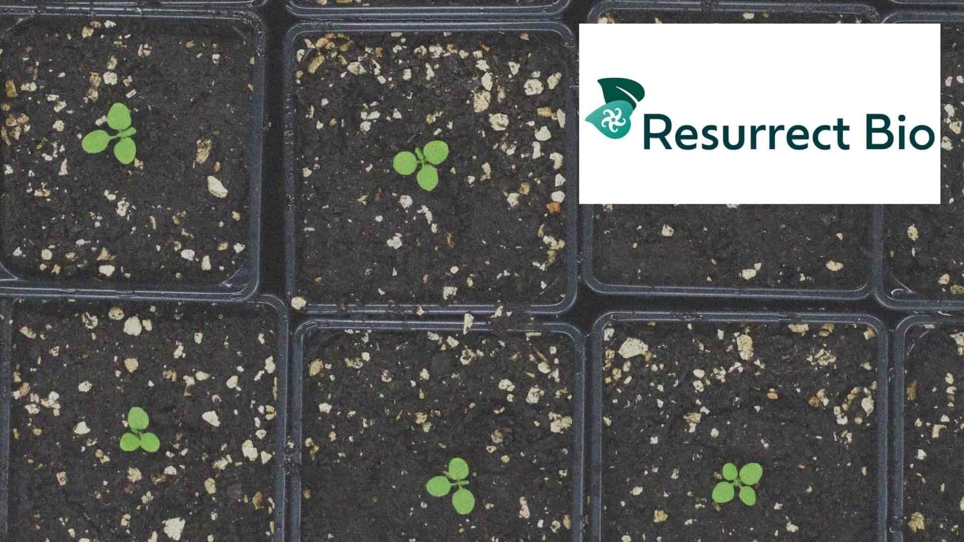 Resurrectbio Calculus VCT