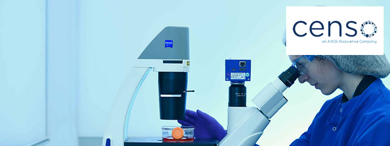 Censo Calculus KI EIS