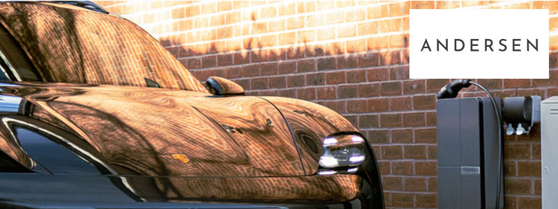 Andersen EV Proven Vcts Article